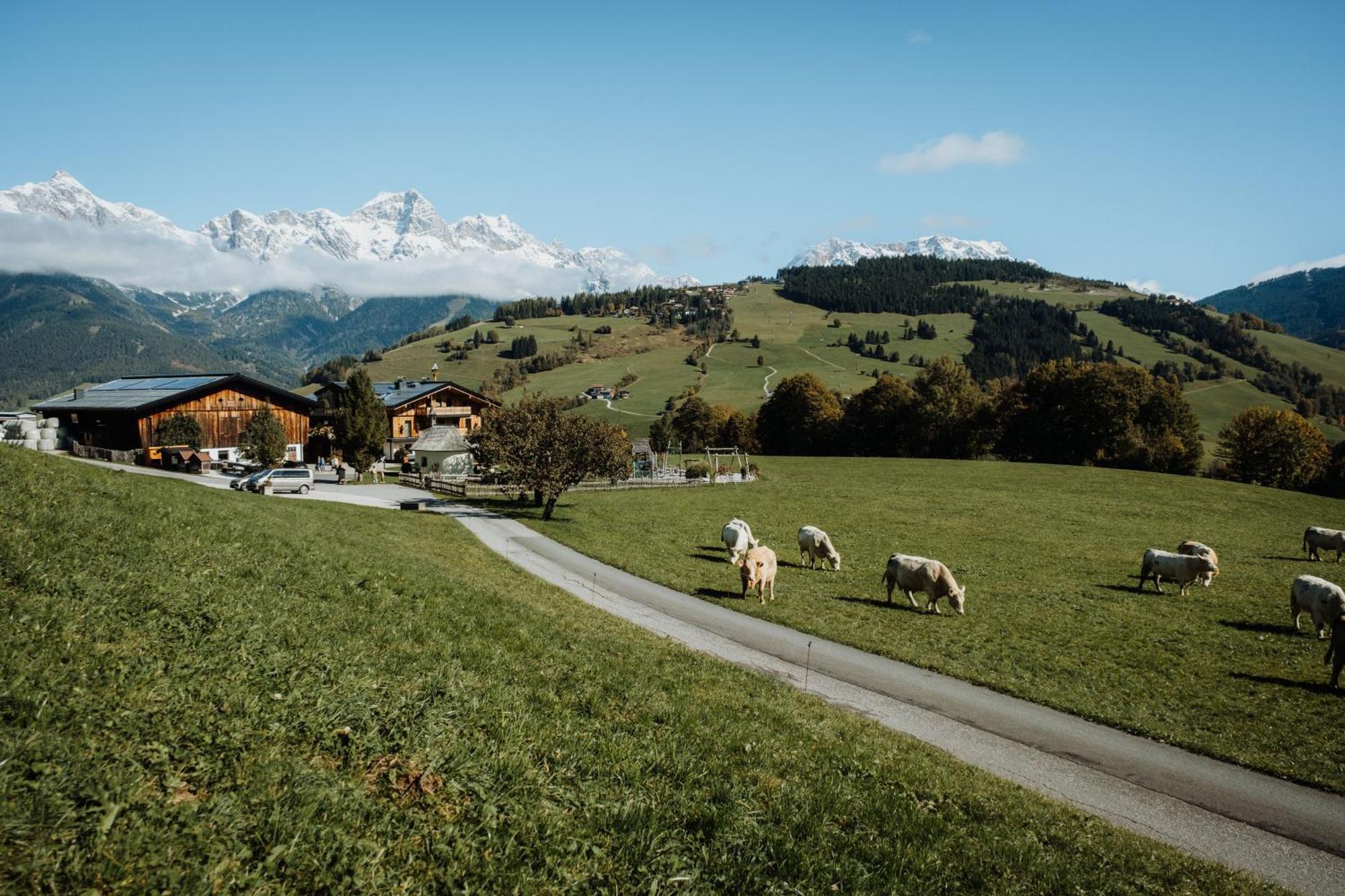Biohof Ebengut Aparthotel Maria Alm am Steinernen Meer Exterior foto