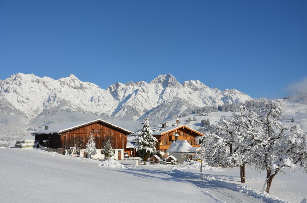 Biohof Ebengut Aparthotel Maria Alm am Steinernen Meer Exterior foto